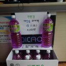 카프랜즈 준엔현카센터 이미지