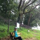 대곡목장 이미지