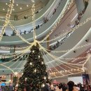 롯데백화점광복 제9관 | 부산 크리스마스 트리 롯데백화점 광복점 아쿠아몰