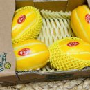 보화농장 이미지