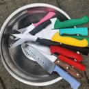 봉강초등학교 이미지