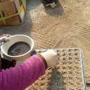 선우농장2 이미지