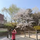 호평평내행정복지센터 1층 | 호평동 칼국수 파주닭칼국수[호평점]🐓