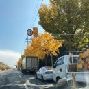 주정차 단속 - 054 이미지