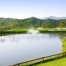 행정1길 이미지