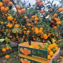 내산농장 이미지