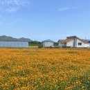 국수보건지소 이미지