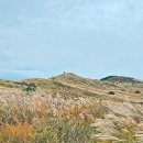 황매산 억새축제 이미지