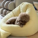 레몬세탁 | 보니타빈백 블루밍 B807 레몬 대형 후기풋스툴 필수? 세탁 꺼짐까지 정리 가성비 괜찮은지 직접 써봄