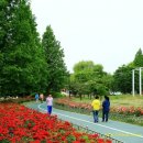 한밭 체육관 이미지