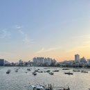 울산 일산해수욕장 회센터 [남영호 / 꼭지초장] 솔직후기