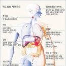 위탁관리시스템 글From 제공 ■ 유용한 상식-우리 몸의 신기한 비밀 이미지