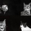 치유의 방 이미지