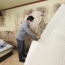 이영미술관 이미지