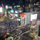 캔디 PC 존 | 시부야스카이 예약 성공! 도쿄의 밤은 화려하다 #시부야스카이 #시브야스카이공홈예약