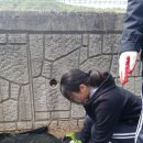 흥성농장