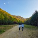 온빛매점