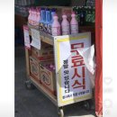 스무살의끝