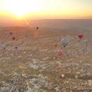 화이트벨리 이미지