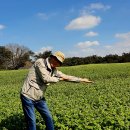 와흘메밀마을 이미지