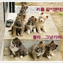 6월15일(일)충청방 이미지