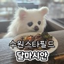 멍필드 | 수원 스타필드 달마시안 애견동반 식당 강아지 화식 후기