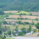 오일장터 앞 이미지