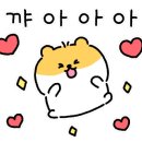 Hello 똘복 네이버블로그