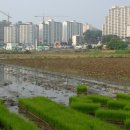 신평마을 이미지