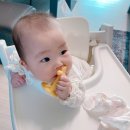 귀리쿡 이미지