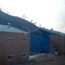 앵남낚시터 이미지