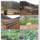 금봉산 농장 이미지