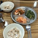 평화보리밥 이미지