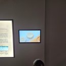 화랑로 316 개방화장실 | 태릉 강릉 숲길 개방한 태릉과 조선왕릉전시관 두돌아기랑 다녀온 후기, 노원 아이랑 갈만한 곳