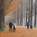 노을공원가로수길 이미지