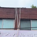 강서구-37 이미지