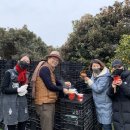 야베스 농장 이미지