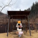 네이처힐 | 양평애견동반펜션 네이처힐, 마당 넓은 독채+강아지 용품 구비 최고!