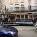 무인39 | 미국 샌프란시스코 케이블카 비용 티켓 구매하는법 피어39 바다사자 보러가기