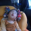 송월목장 이미지