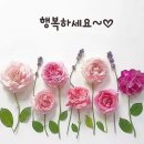 영천제일중장비학원