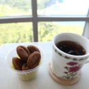 백야항관광안내소 이미지