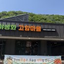 미탄체육공원 | [카우치포테이토X피크퍼포먼스]카우치 포테이토 고트 잊지못할 추억,내돈내산 후기