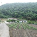 원동펜션 이미지