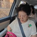 선우용여 카카오 검색결과