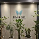 설한의원 | 새해부터 교통사고로 날려버린 설 황금연휴 | 청주 [나비솔 한의원] 입원실 후기