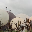 버블하우스 이미지