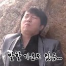 다니소바 이미지