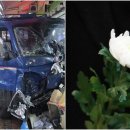 부천제일시장 이미지