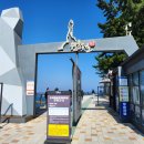 5월10일.부남해변+장호항 +초곡 용굴 촛대바위 삼척 장미공원 트래킹 이미지